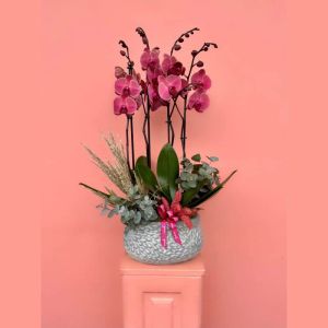  Send Flowers in Antalya - Orchids