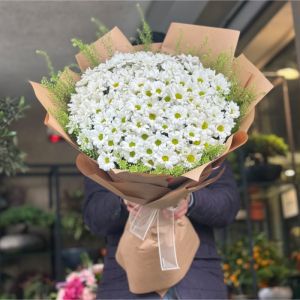  Antalya Çiçek Gönder - Papatya & Gerbera