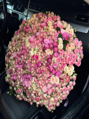  Antalya Flowers - NO QUERY SPECIFIED. EXAMPLE REQUEST: GET?Q=HELLO&LANGPAIR=EN|IT